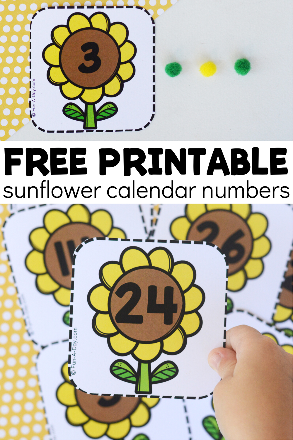 Multiple views of number cards with text that reads free printable sunflower calendar numbers