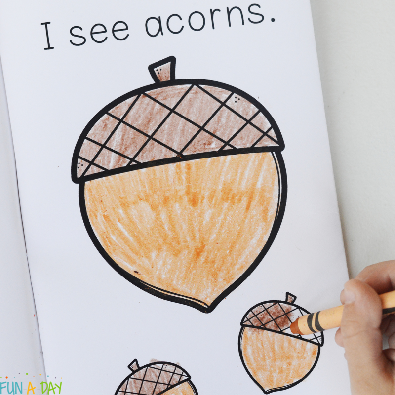preschool coloring in a printable book page that reads I see acorns