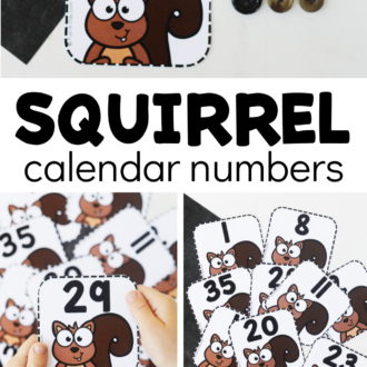multiple views of number cards with text that reads squirrel calendar numbers