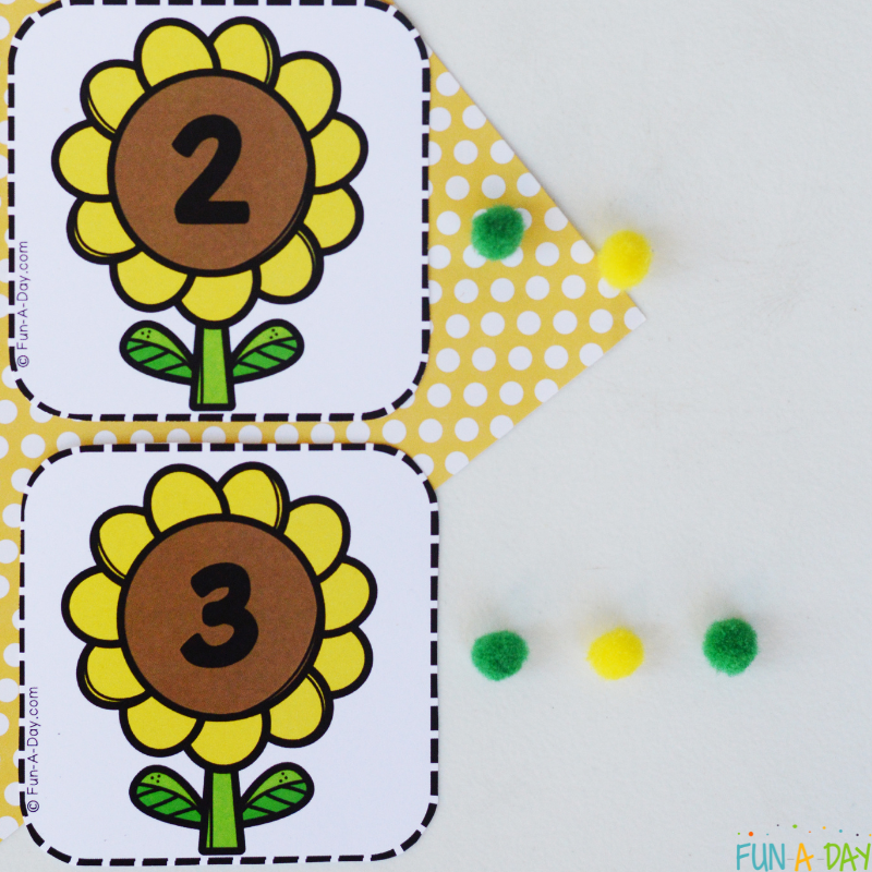 Sunflower calendar numbers 2 and 3 with corresponding number of mini pompoms next to each card