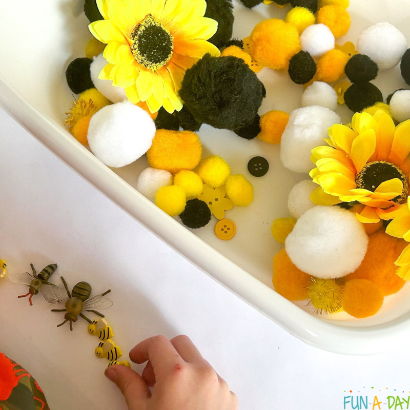preschooler's hand placing items from a bee sensory bin in a row
