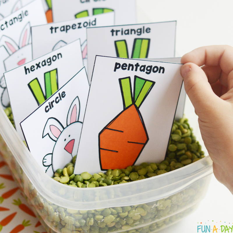 child's hand pulling a pentagon shape card out of sensory bin filled with bunny and carrot shape matching cards
