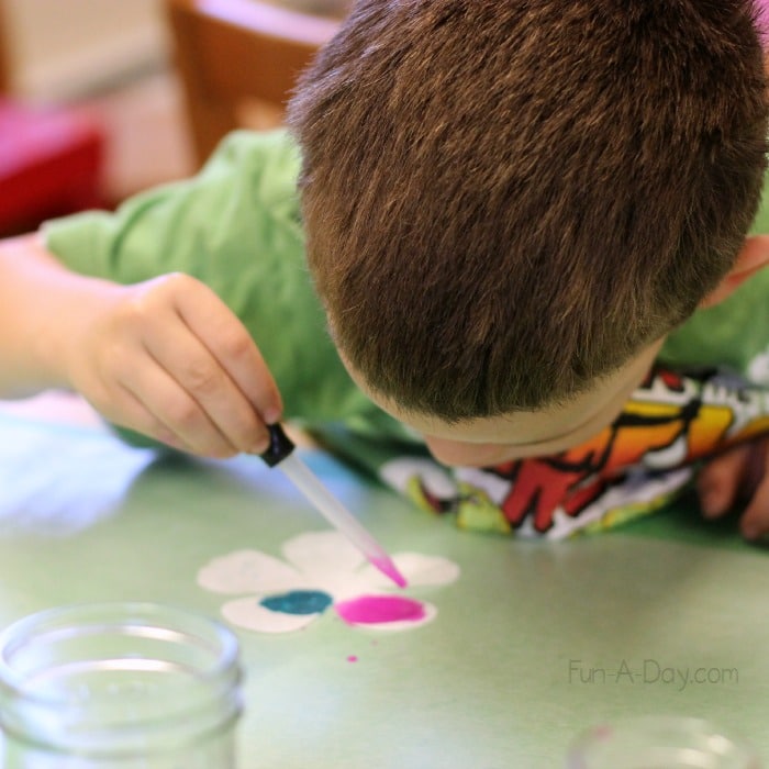 preschooler dripping watercolors on coffee filter flower
