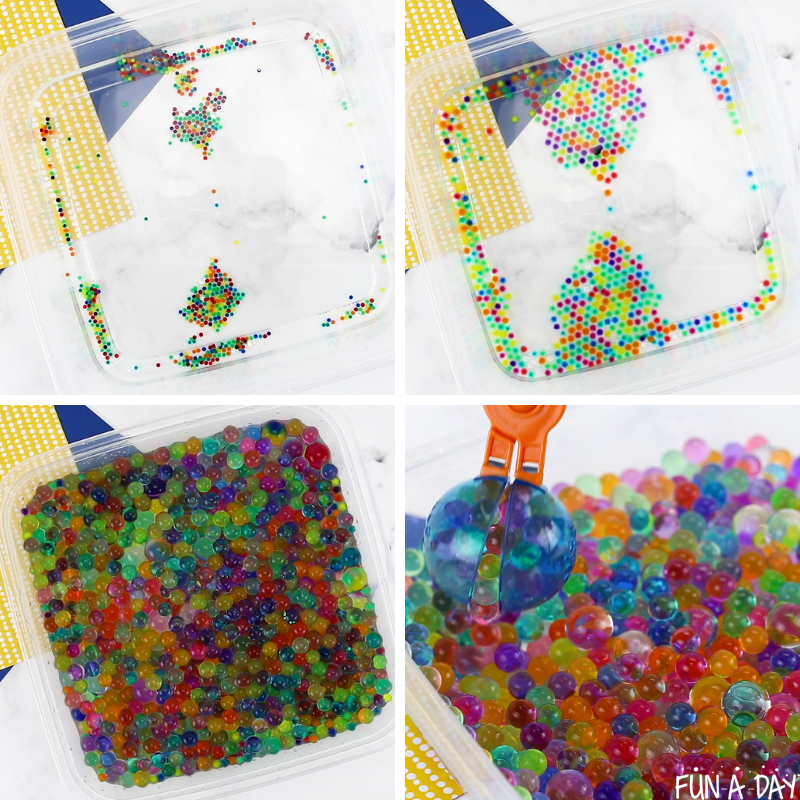 progression of water beads growing
