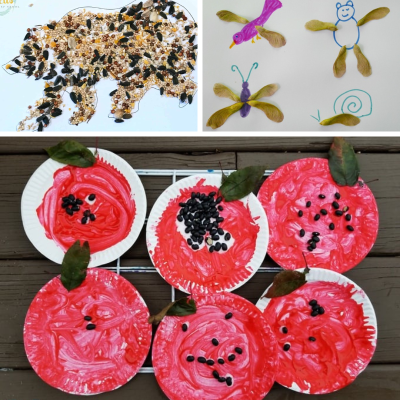 3 seed art projects kids can make