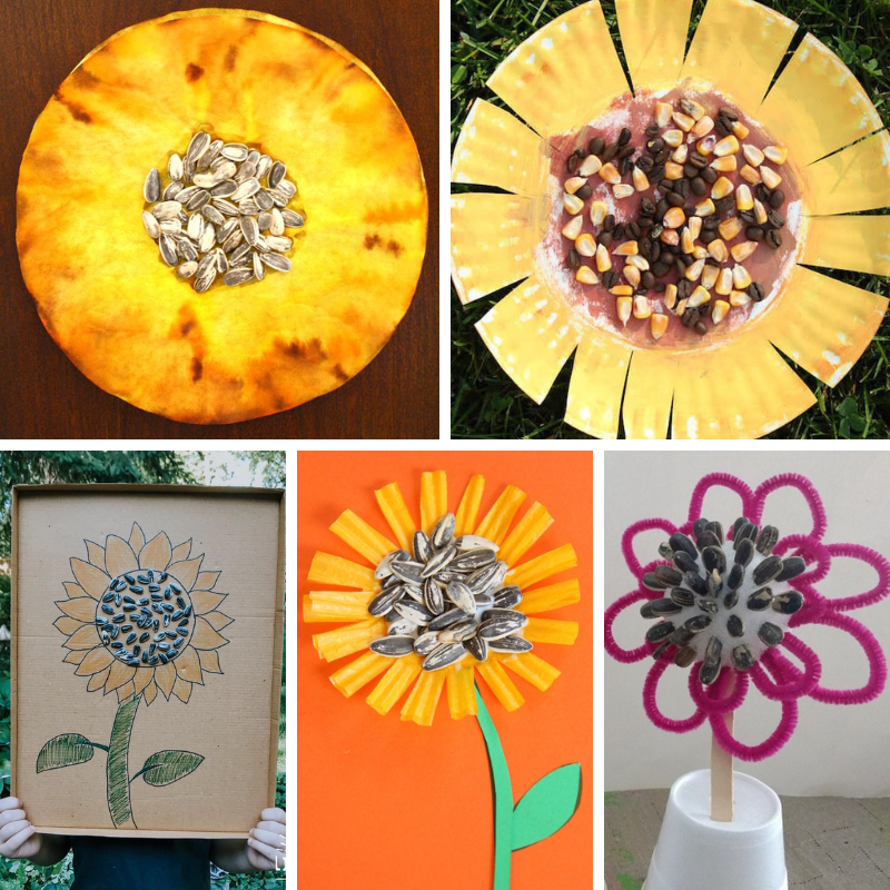 5 sunflower seed art ideas for children