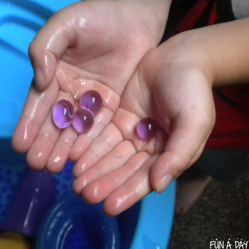 preschooler's hands holding purple water beads