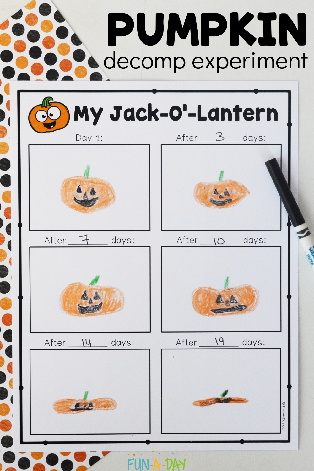 "My Jack O' Lantern" pumpkin decomposition recording sheet with text that reads pumpkin decomp experiment