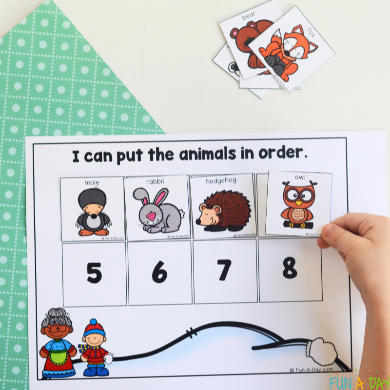 preschooler placing animal cards on the free printable the mitten sequencing printable