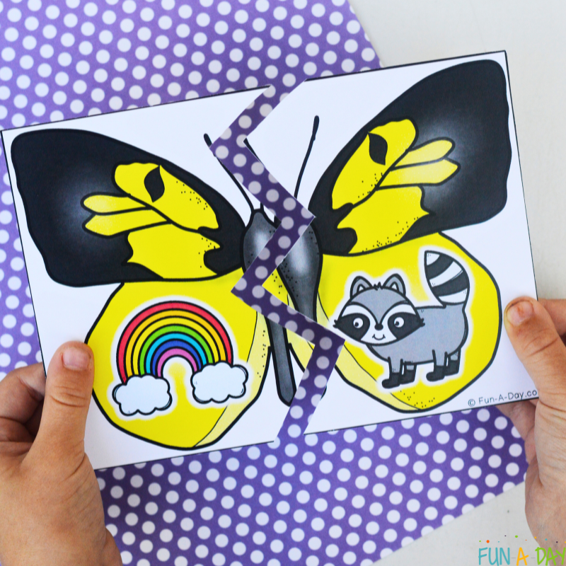 matching rainbow and raccoon pieces of butterfly literacy puzzle