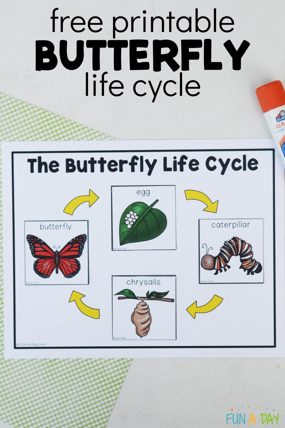 completed butterfly page with text that reads free printable butterfly life cycle