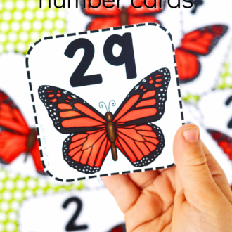 Number 29 held above a set of butterfly calendar numbers splayed out on a table. Text that reads Butterfly number cards.