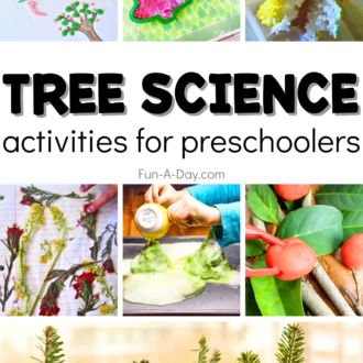 7 Tree science activities with text that reads tree science activities for preschoolers.